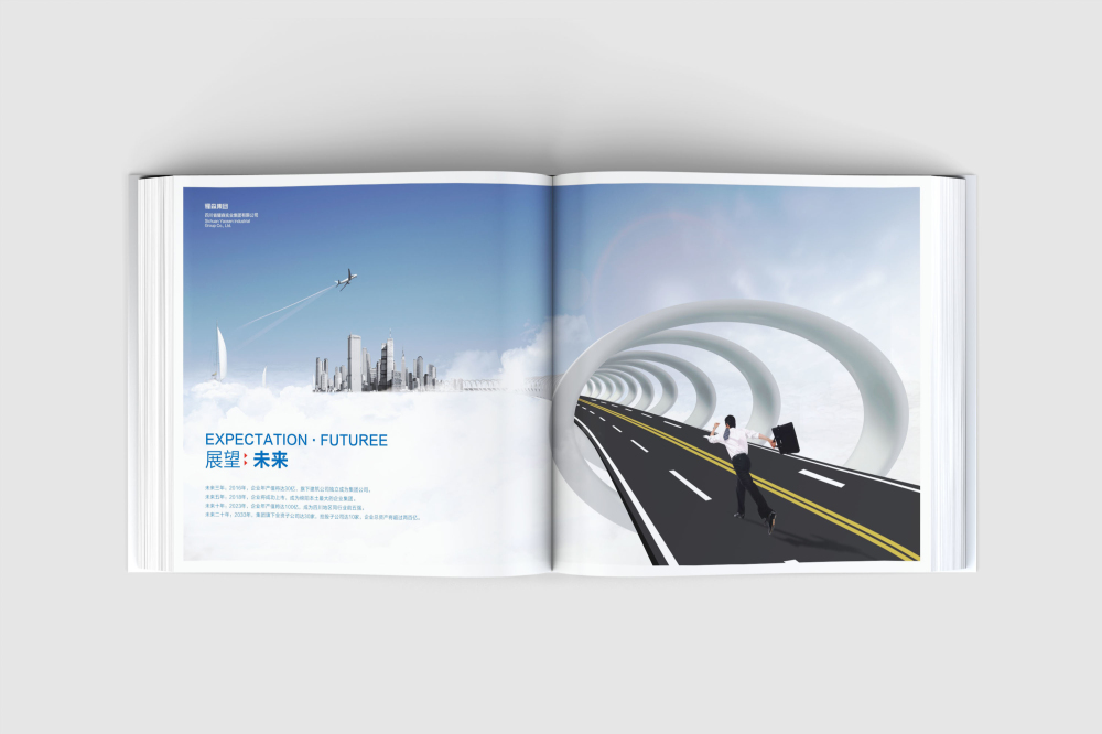 清城区画册设计